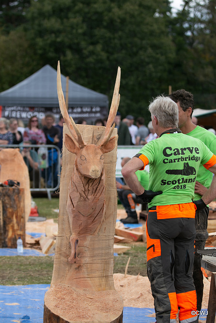 The Carrbridge World Chainsaw Carving Championship 2018