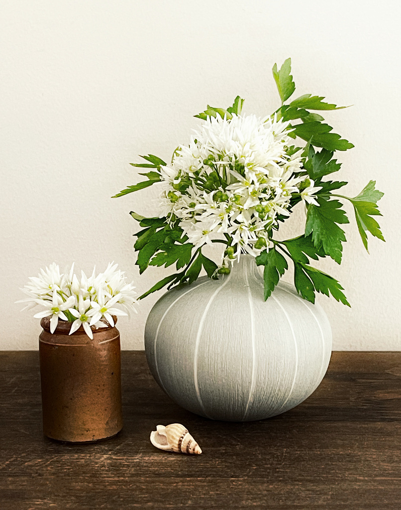 wild garlic 7