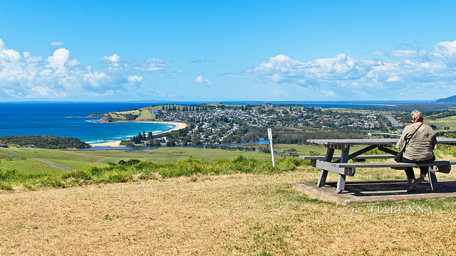 Bench with a view