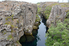 Iceland, Thingvellir National Park,  Canyon Peningagjá - the Boundary between the North American and Eurasian Tectonic Plates