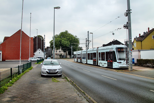 Castroper Hellweg (Bochum-Gerthe) / 3.08.2024