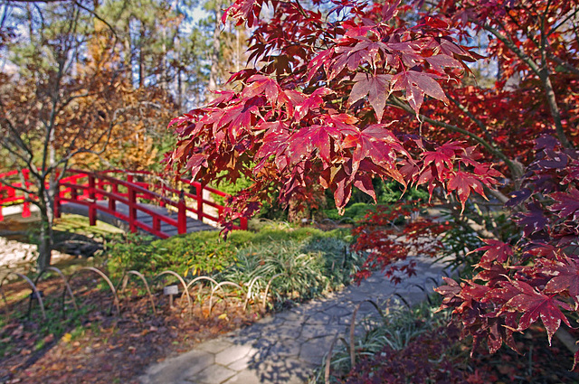 Approach to the Bridge