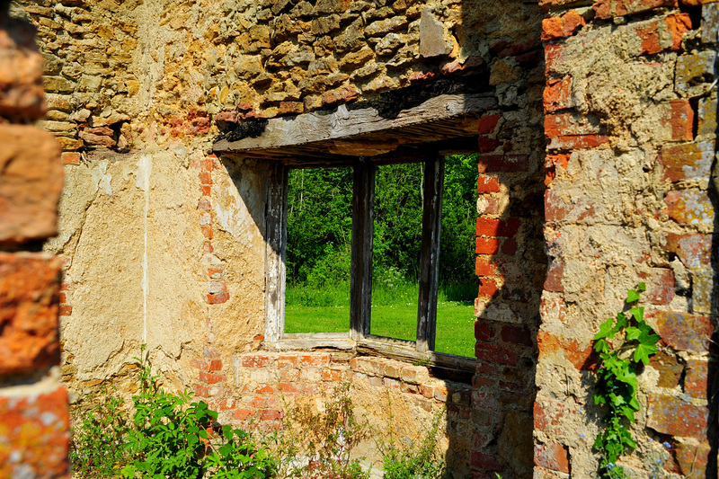 Before the Vanishing Hedge