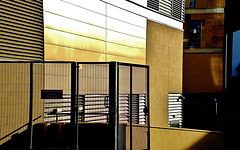 Lines and Light