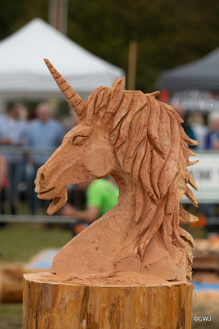 The Carrbridge World Chainsaw Carving Championship 2018