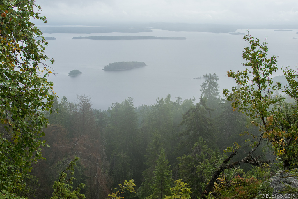 auf dem Ukko-Koli - P.i.P.(© Buelipix)