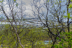 Stekenjokkvägen (Vildmarksvägen)