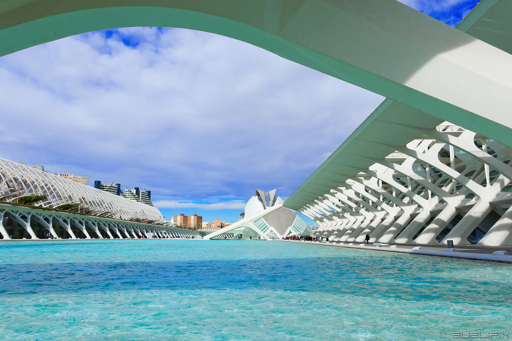 Valencia - Ciudad de las Artes y de las Ciencias (© Buelipix)