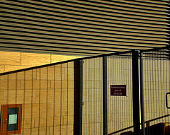 Lines and Light