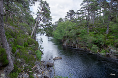 Glen Affric