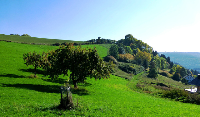 DE - Volkesfeld - Heidehimmel trail