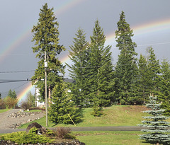 View  from front door.