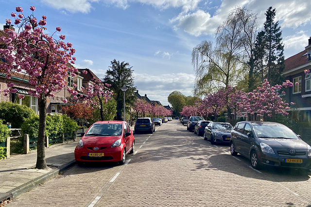 P.J. Blokstraat