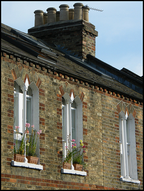 Jericho window gardens