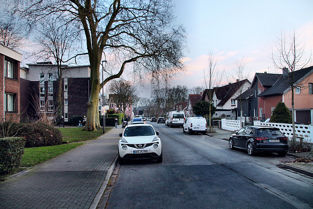 Rheinische Straße (Wanne-Eickel) / 8.02.2025