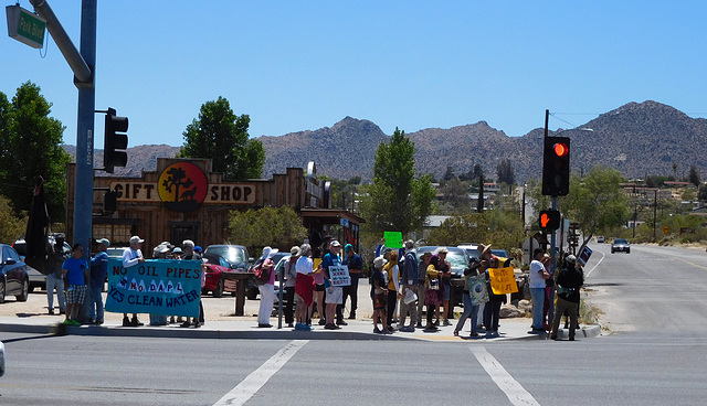 Joshua Tree Climate Change rally (#0541)