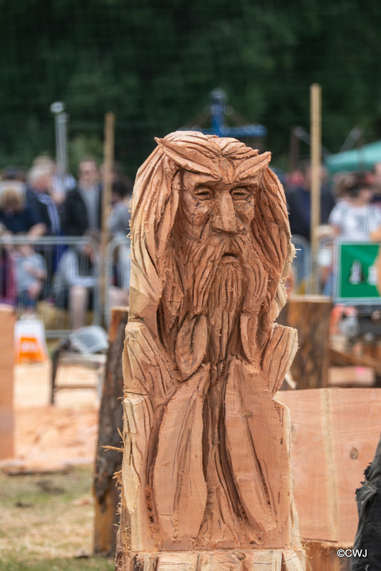 The Carrbridge World Chainsaw Carving Championship 2018
