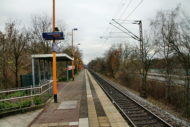 S-Bahn-Haltepunkt Marl-Hamm / 12.12.2018