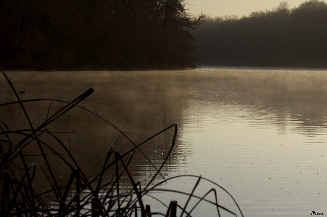 Etang en hiver