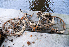 Rost-Bike