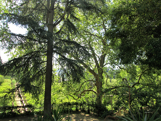 Aromatic Garden.