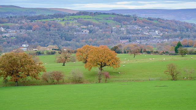 Broadbottom from Higher Chisworth