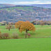 Broadbottom from Higher Chisworth