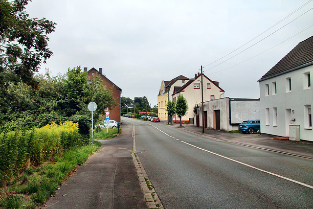 Castroper Hellweg (Bochum-Gerthe) / 3.08.2024