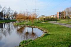Jan Wilspark