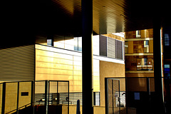 Lines and Light Lines and Light