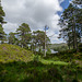 Glen Affric