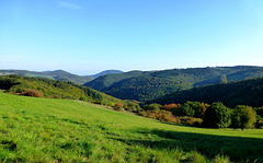 DE - Volkesfeld - Heidehimmel trail