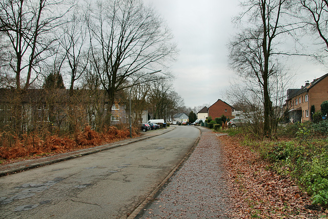 Spechtstraße (Marl-Hamm) / 12.12.2018