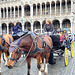 Horses of tourist attraction at the Grand~Place to BE