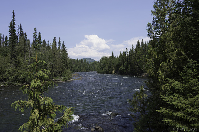 Murtle River (© Buelipix)