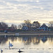 Bosham Harbour (+PiP)