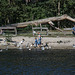 20140911 5208VRAw [NL] Möwen, Enten, Skulptur, Terschelling