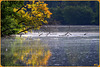 Etang de l'Oise