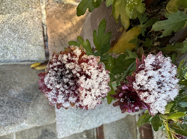 A touch of frost.