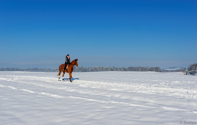 unterwegs ... 1 (© Buelipix)