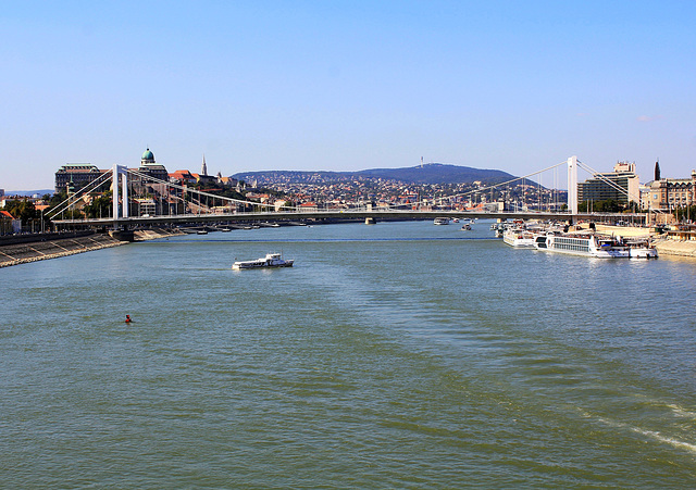 Die Donau in Budapest