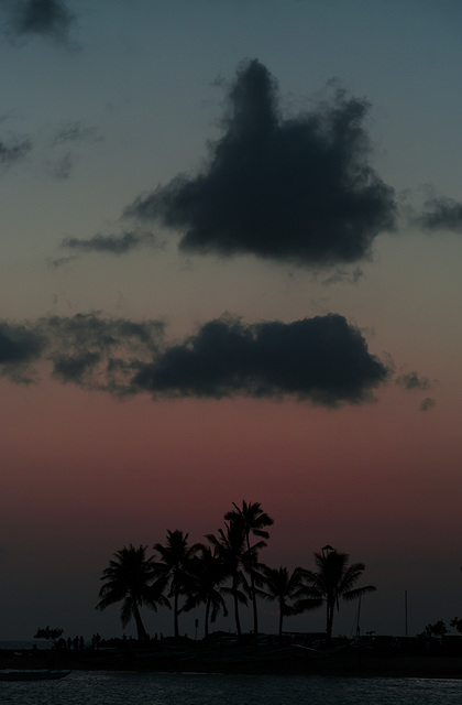 Hawaii sunset