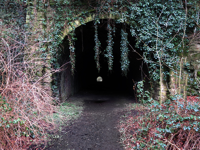 Usk Tunnel