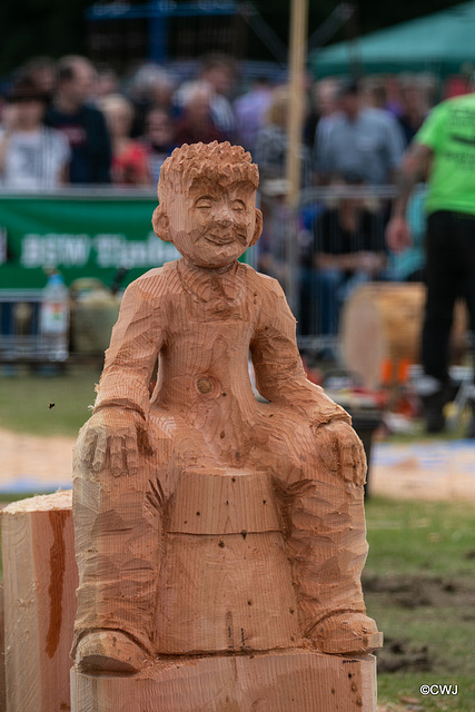 The Carrbridge World Chainsaw Carving Championship 2018