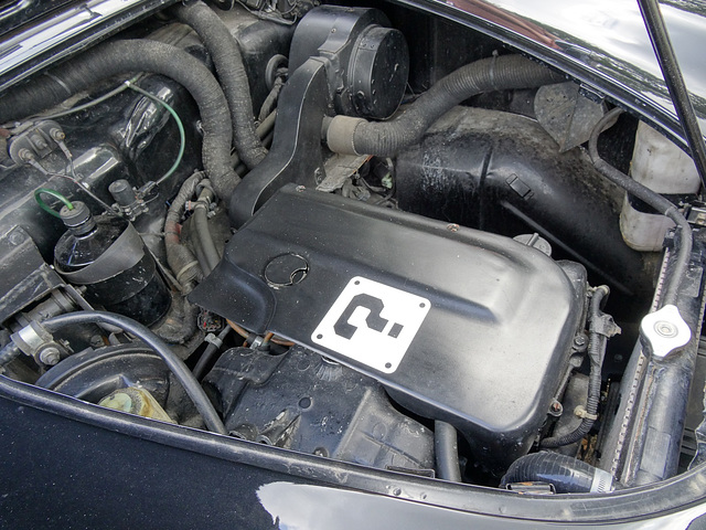 bscgaug2021 (1140)