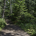 im Wells Gray Provincial Park bei den Dawson Falls (© Buelipix)