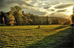 Summer evening light