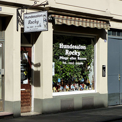 Cologne - Rocky