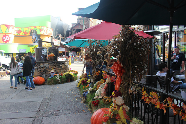 HFF Everyone!!!  Street scene, Gatlinburg, Tennessee..... USA