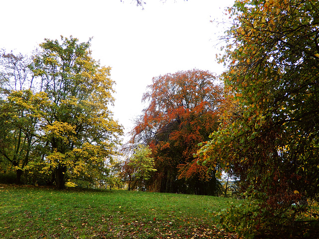 Beutlerpark in Dresden (1)